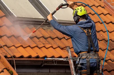 Démoussage et hydrofuge de toiture à Savolles